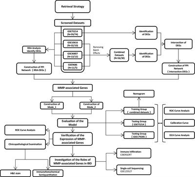 Integrated analysis of multiple microarray studies to establish differential diagnostic models of Crohn’s disease and ulcerative colitis based on a metalloproteinase-associated module